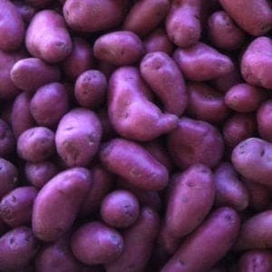 purple fingerling