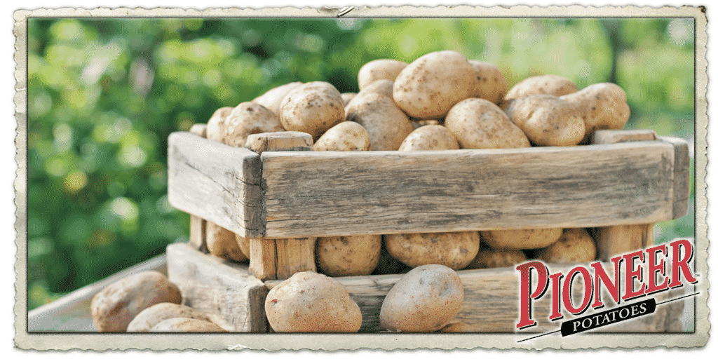  Dichondra 70pcs Fingerling Potatoe Mixed Vegetable Seeds :  Patio, Lawn & Garden